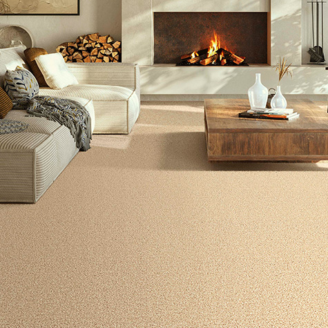 Carpet